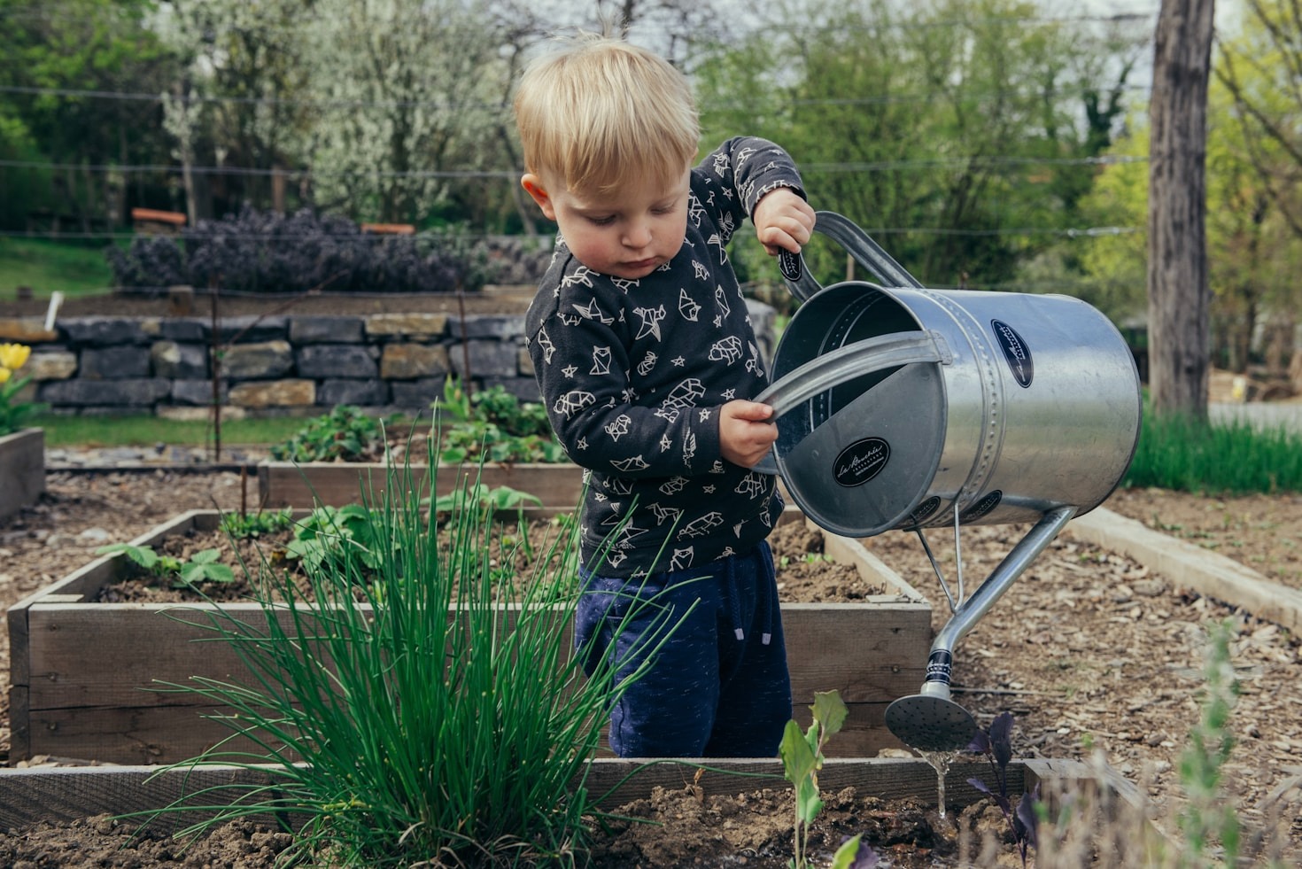Raising Children with a Love for Creation and Christ